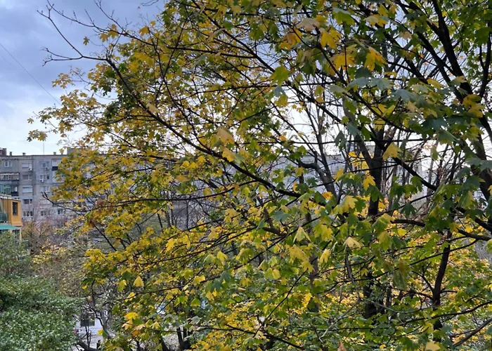 Апартамент Levski *